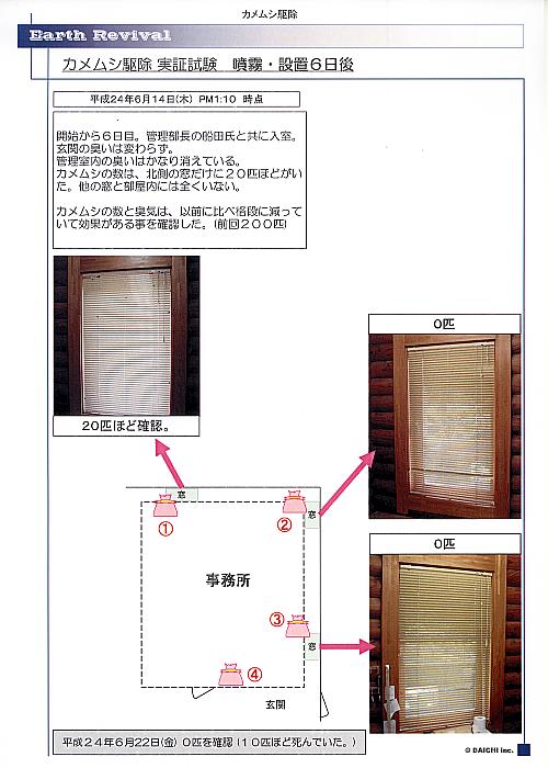 試験６日後